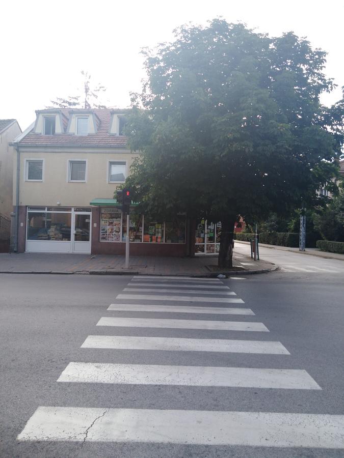 Veliki Park Villa Sabac Exterior photo