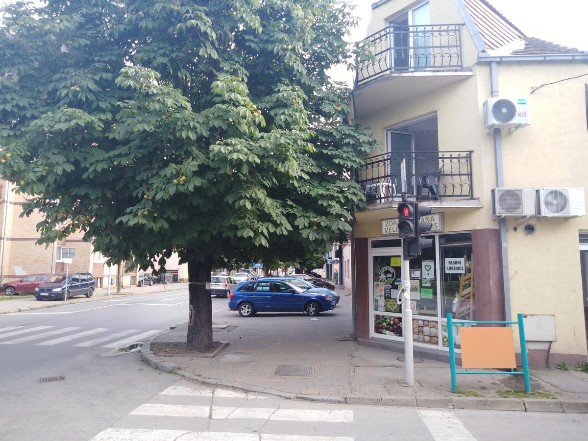 Veliki Park Villa Sabac Exterior photo